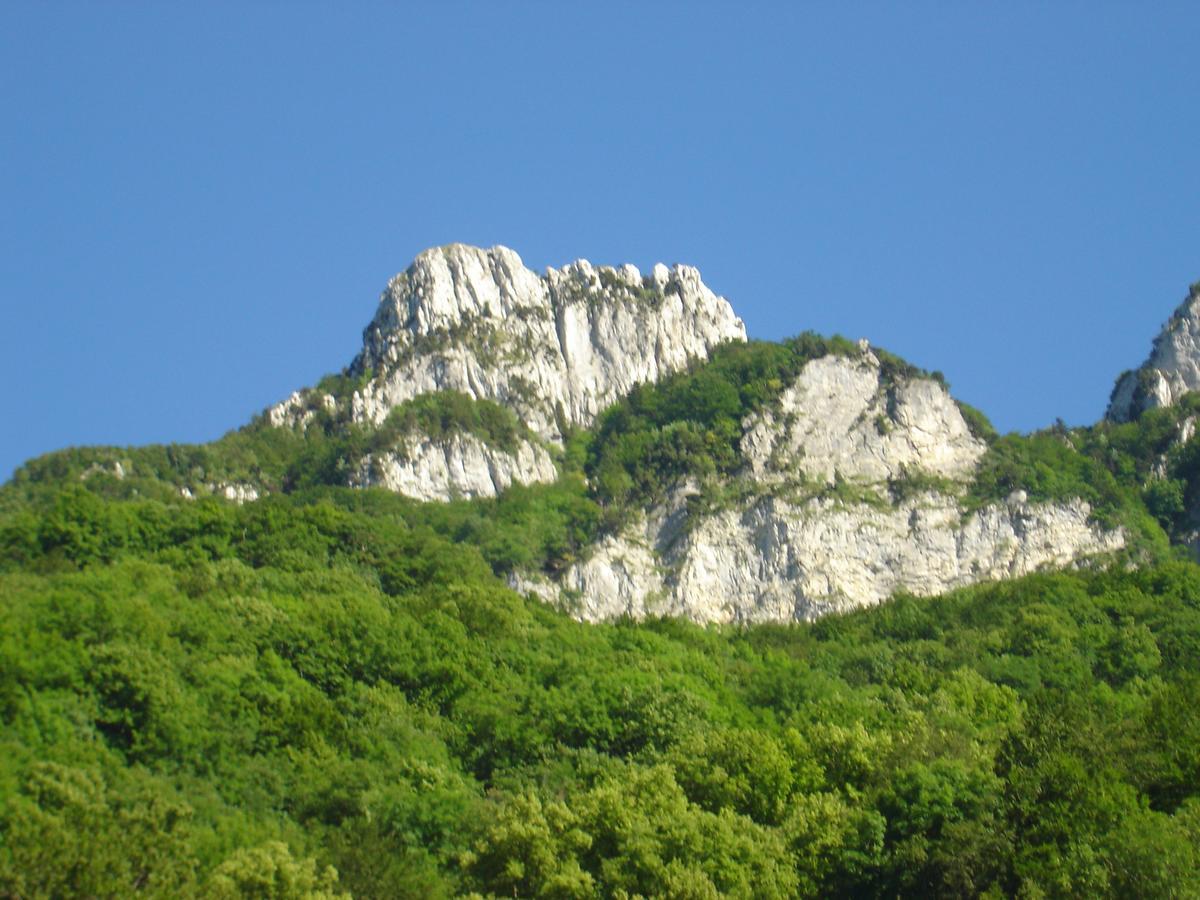 La Source Jacquet Depuis 1954 Hotel Et Studio Saint-Jean-de-Chevelu Eksteriør billede